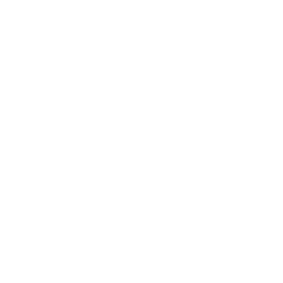 Git / GitHub